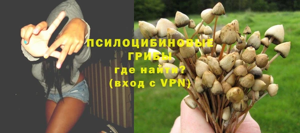 ALPHA PVP Строитель