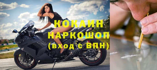 спиды Алзамай